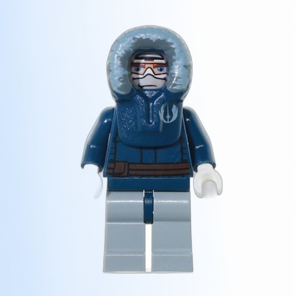 Anakin Skywalker (Parka) - sw0263