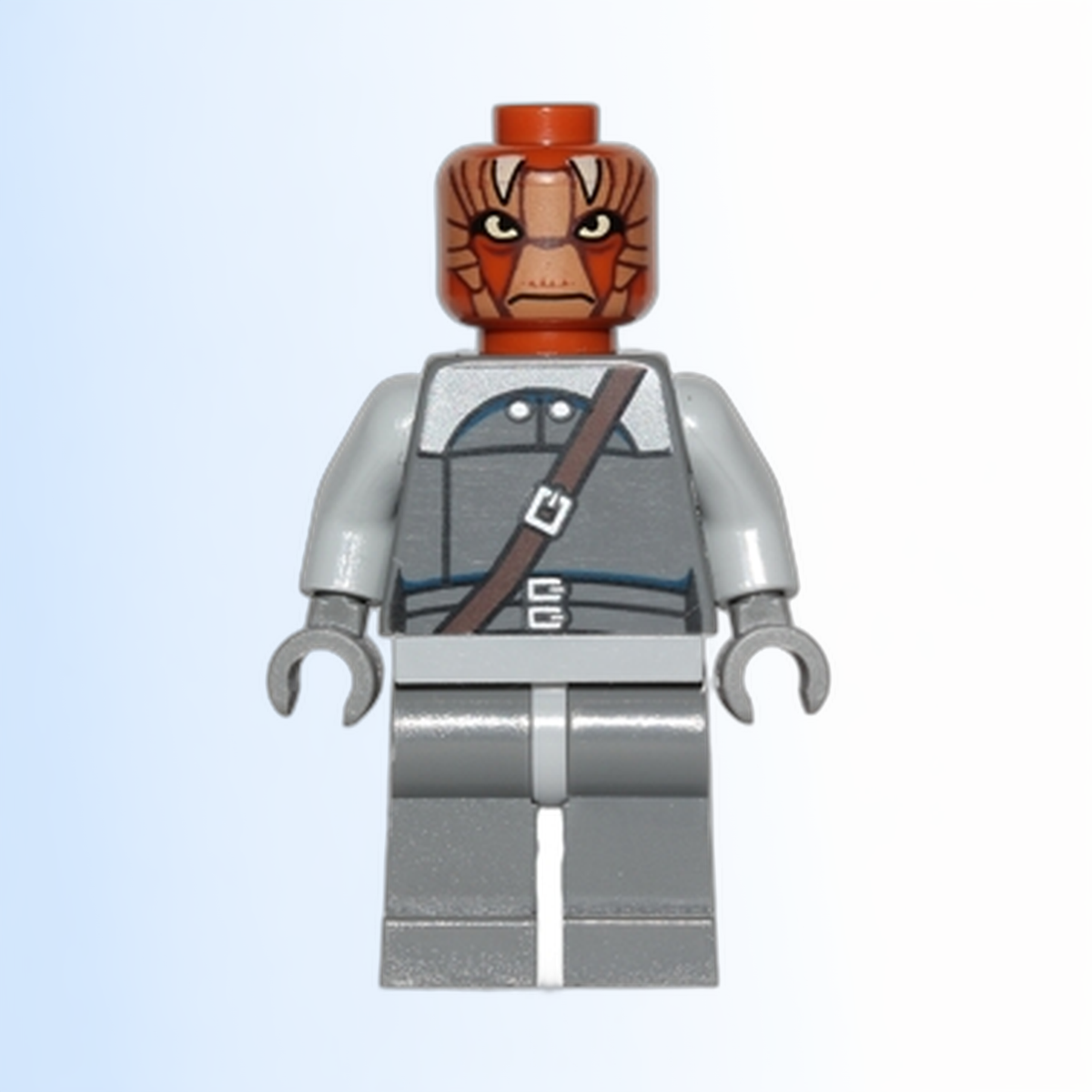 Nikto Guard - sw0496